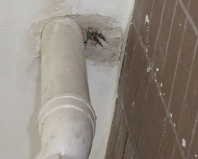 涿鹿漏水检测哪家好